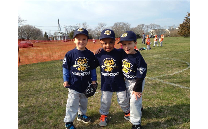 East End Little League 2013 Minor League River Dogs!